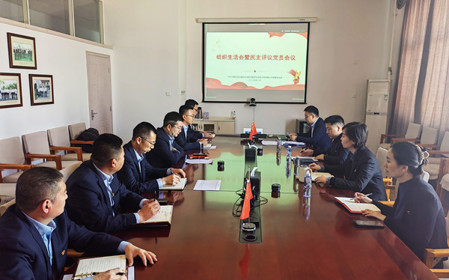 標(biāo)題：銷售黨支部召開組織生活會暨民主評議黨員會議
瀏覽次數(shù)：345
發(fā)表時(shí)間：2025-02-26